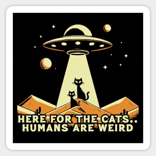 UFO For Cats Sticker